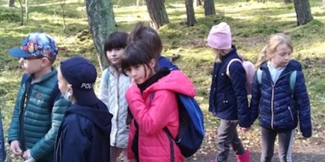 Powiększ grafikę: Grupa uczniów w lesie