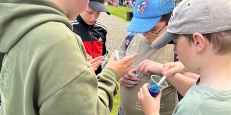 Powiększ grafikę: baltycki-festiwal-nauki-695809.jpg