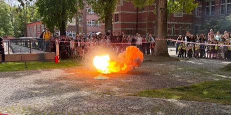 Powiększ grafikę: baltycki-festiwal-nauki-695849.jpg