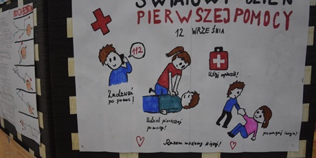 Powiększ grafikę: dzien-pierwszej-pomocy-711048.jpg