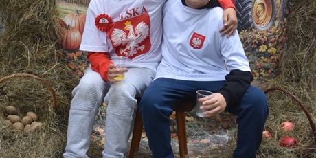 Powiększ grafikę: dzien-ziemniaka-w-jezykach-swiata-714111.jpg