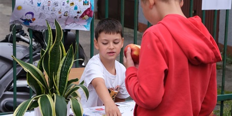 Powiększ grafikę: dzien-ziemniaka-w-jezykach-swiata-714185.jpg