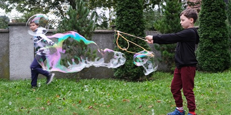 Powiększ grafikę: dzien-ziemniaka-w-jezykach-swiata-714202.jpg