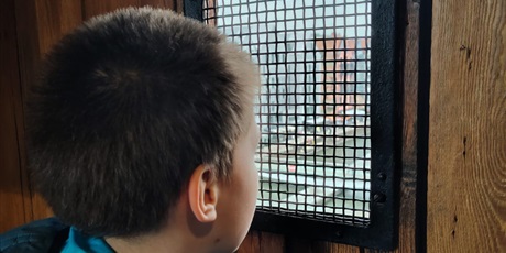 Powiększ grafikę: klasa-iv-a-zwiedza-zabytkowy-zuraw-684075.jpg