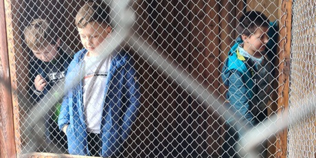 Powiększ grafikę: klasa-iv-a-zwiedza-zabytkowy-zuraw-684092.jpg