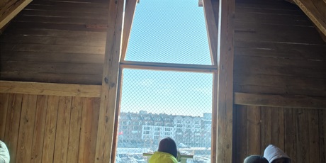 Powiększ grafikę: klasy-6a-i-6b-w-muzeum-morskim-677450.jpg