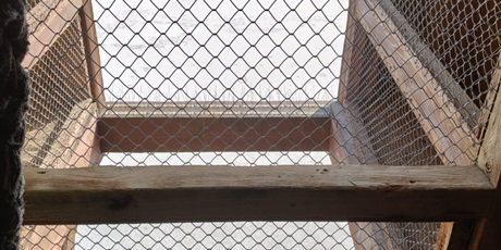 Powiększ grafikę: klasy-6a-i-6b-w-muzeum-morskim-677452.jpg