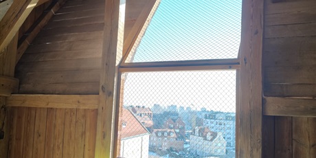 Powiększ grafikę: klasy-6a-i-6b-w-muzeum-morskim-677454.jpg