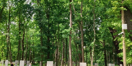 Powiększ grafikę: rejs-na-westerplatte-700241.jpg