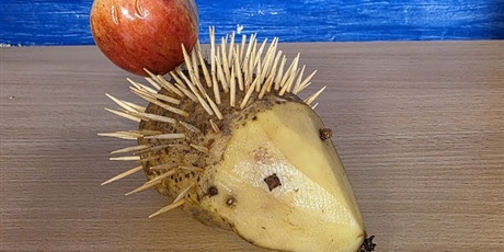 Powiększ grafikę: rozstrzygniecie-konkursu-ziemniak-w-roli-glownej-714729.jpg