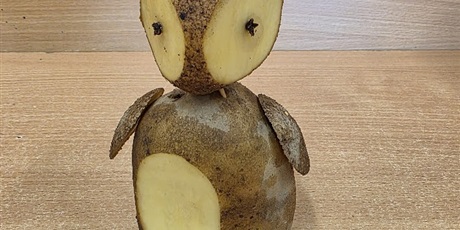 Powiększ grafikę: rozstrzygniecie-konkursu-ziemniak-w-roli-glownej-714730.jpg
