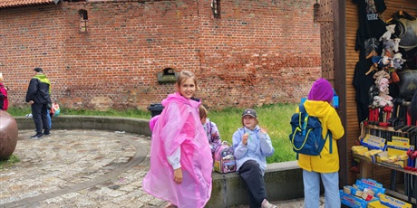 Powiększ grafikę: wycieczka-do-zamku-krzyzackiego-w-malborku-701069.jpg