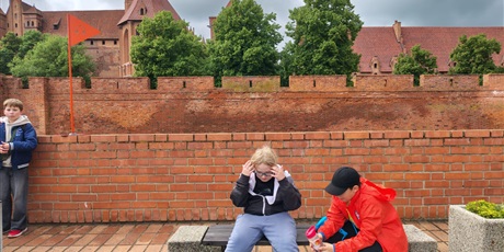 Powiększ grafikę: wycieczka-do-zamku-krzyzackiego-w-malborku-701078.jpg