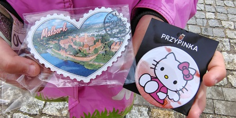 Powiększ grafikę: wycieczka-do-zamku-krzyzackiego-w-malborku-701115.jpg
