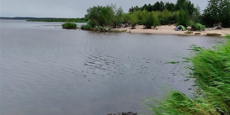 Powiększ grafikę: wycieczka-klasy-piatej-do-mikoszewa-628658.jpg