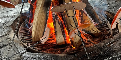 Powiększ grafikę: wyprawa-do-kielpina-kartuskiego-iva-625291.jpg